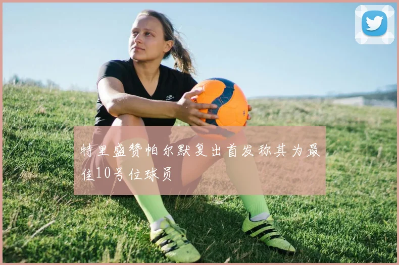 特里盛赞帕尔默复出首发称其为最佳10号位球员